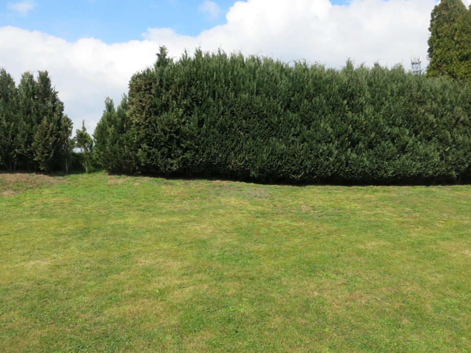 sehr pflegeleicht angelegt Mehrfamilienhaus Ense / L�ttringen